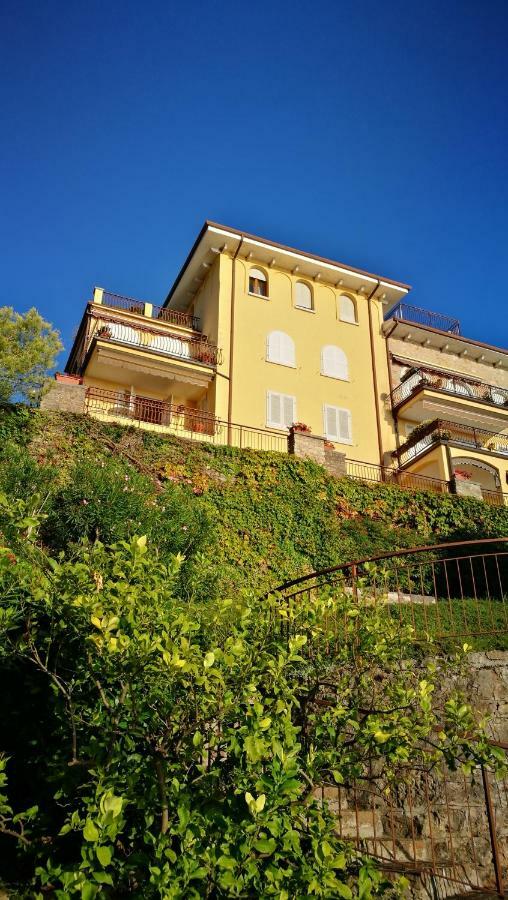 Bellavista Eremitaggio Apartamento Torri Del Benaco Exterior foto
